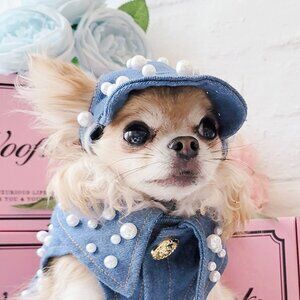 My Pearl Denim Dog Cap by Wooflink - BLUE SMALL